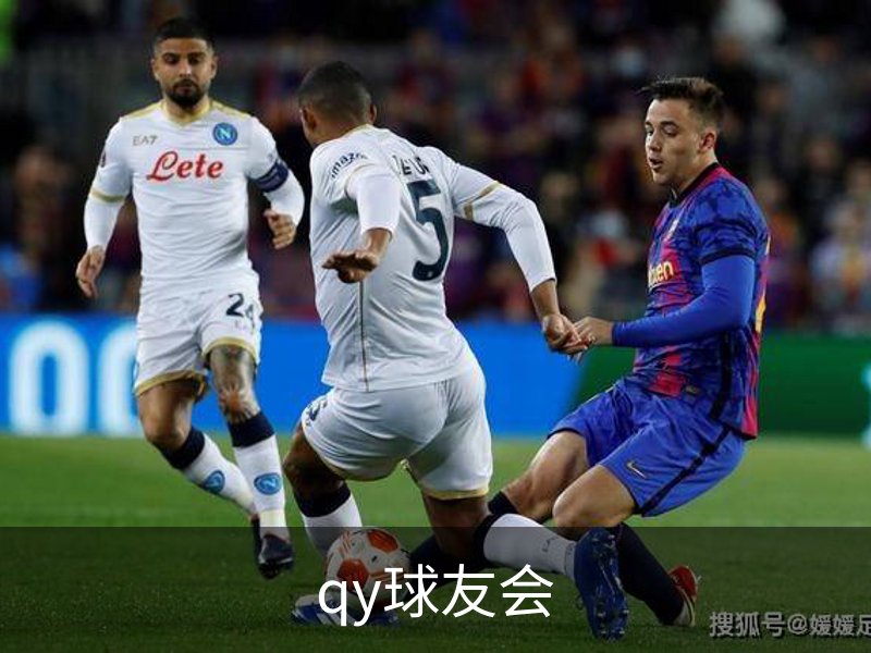 走进qy球友会